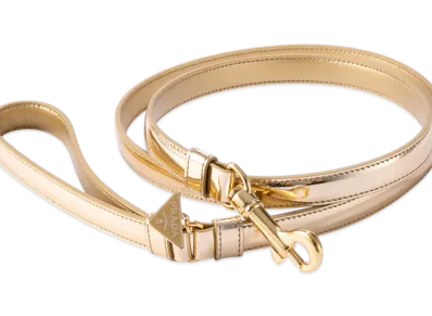 PRADA Brushed Leather Lead "Gold"