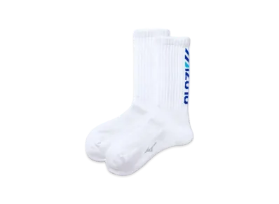 MIZUNO Dry Vector Pile Regular Socks "White/Blue"