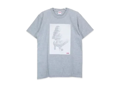 Supreme 17SS Digi Tee "Grey"