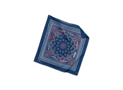 The North Face PURPLE LABEL FFFES Graphic Bandana "Blue"