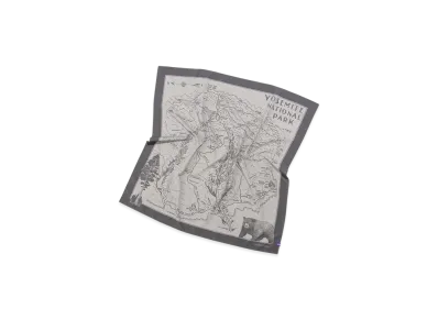 The North Face Purple Label Mountain Field Scarf "Asphalt Gray"