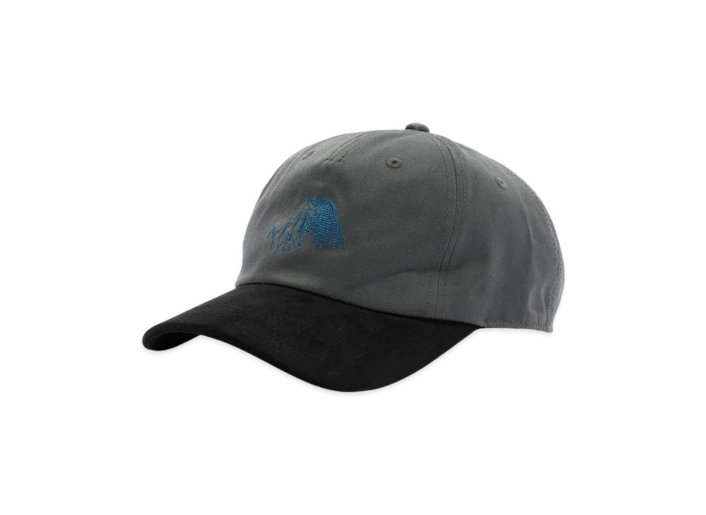 The North Face Purple Label Field Graphic Cap "Asphalt Gray"