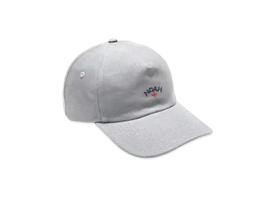 Noah Canvas Core Logo 5-Panel "Grey"