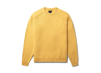 Noah Cotton Sweater "Gold"