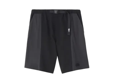 The North Face Determination Shorts "Black"