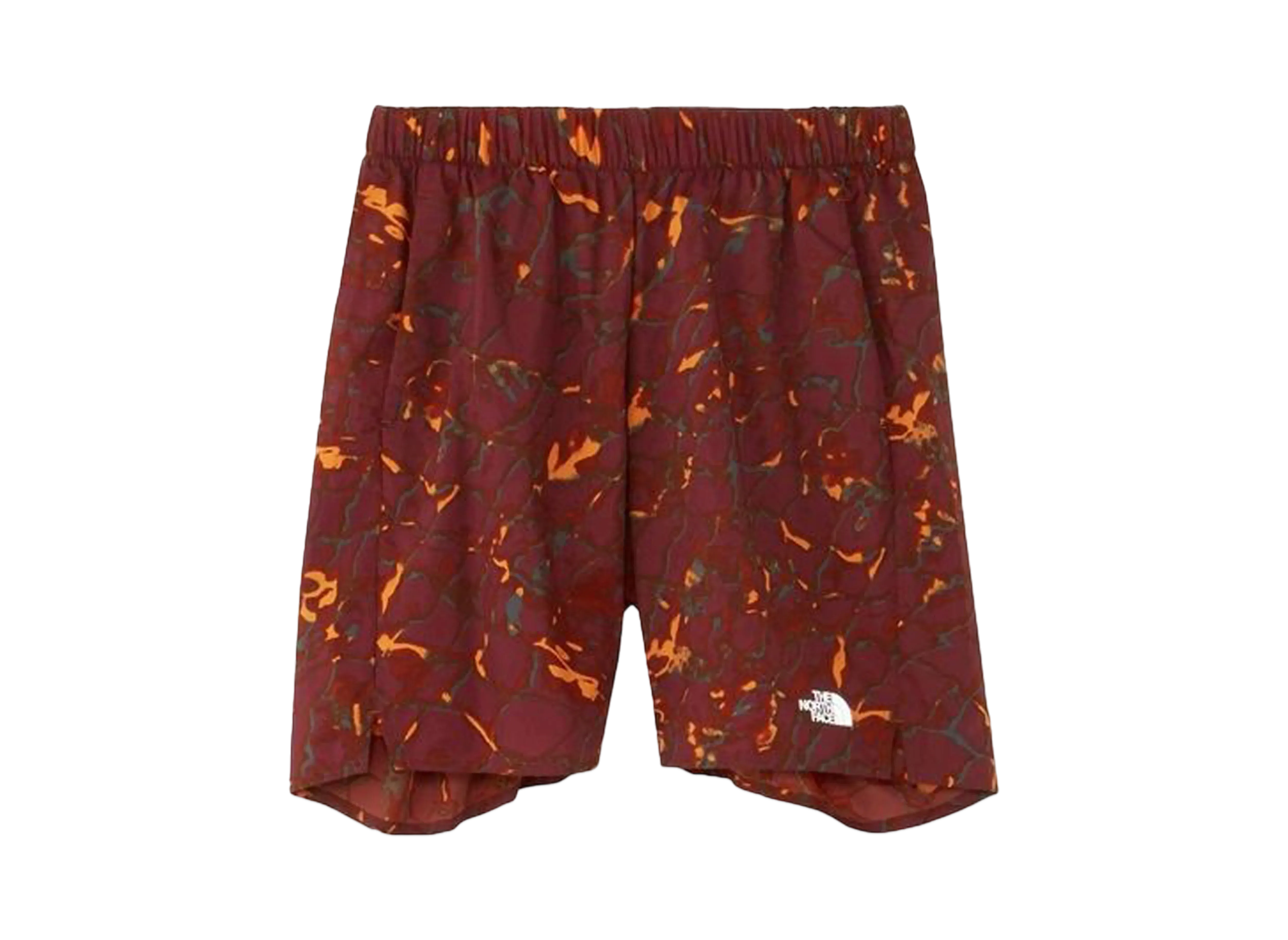 The North Face Novelty Swallowtail Vented Half Pants "Water Distortion"