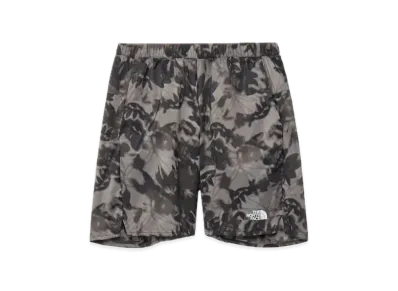 The North Face Novelty Swallowtail Vented Shorts "Luxe Gray"