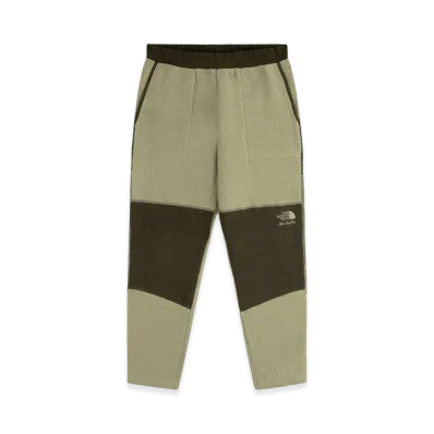 The North Face x Aime Leon Dore Denali Fleece Pants "Tea Green"