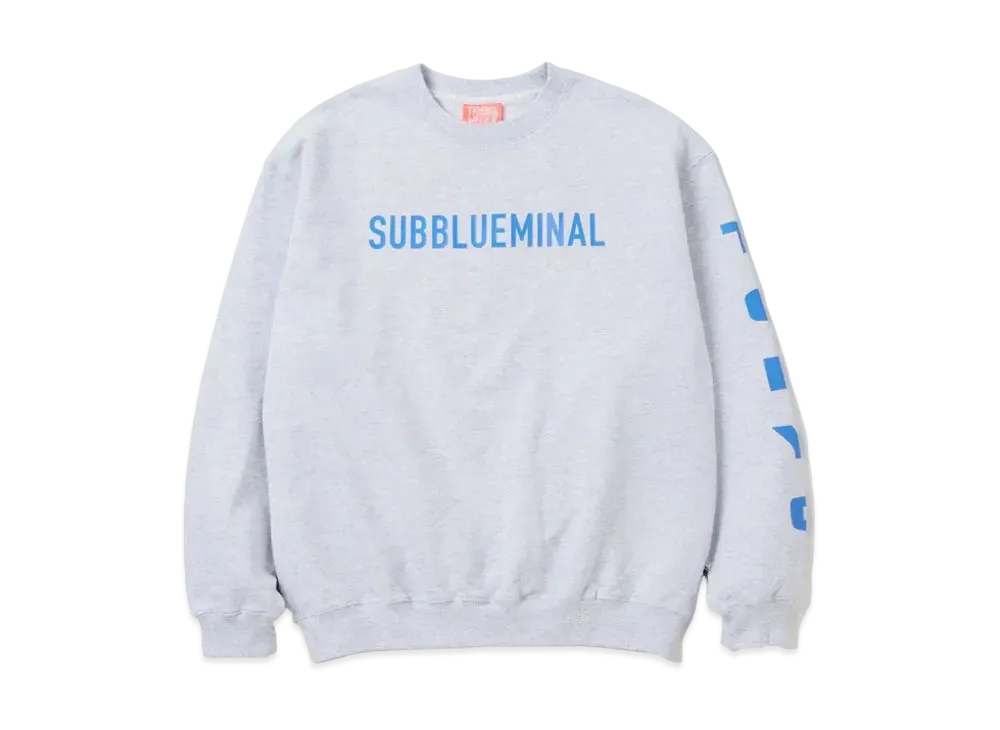 NEIGHBORHOOD x SUBBLUEMINALTOKYO . Sweatshirt LS "Gray"