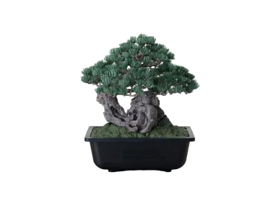 NEIGHBORHOOD SRL x Bandai Spirits . Bonsai Model Kit "Green"
