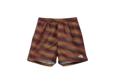 The North Face Kids Novelty Water Shorts "Smack Optical Stripe"