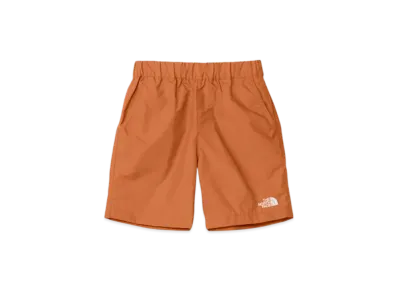 The North Face Kids Toddler Class Five Short "Iron Bronze"