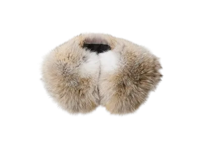 NICENESS Coyote Fur Collar "Natural"