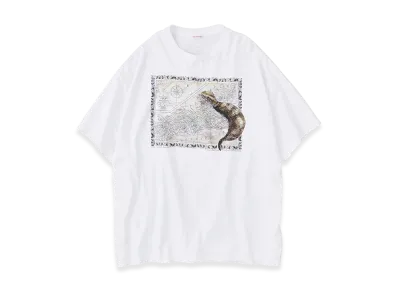 NICENESS U.Bernard Uma Print Tee Shirt "Tsuchinoko"