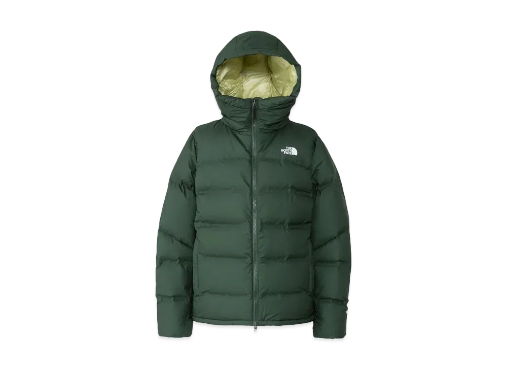The North Face Belayer Parka "Pine NeedlexWeeping Willow"