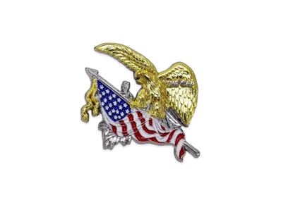NEW ERA x THE CAP Pins Glory Eagle "White/Navy"