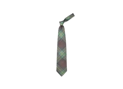 NEEDLES Neck Tie - W/N Madras Check "Green"