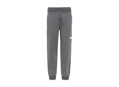 The North Face NSE Light Pant "DYY TNF Medium Grey Heather"