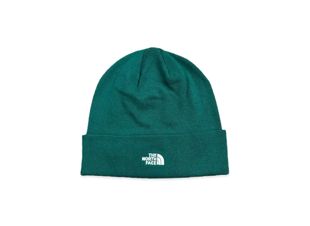 The North Face Beanie "Green"