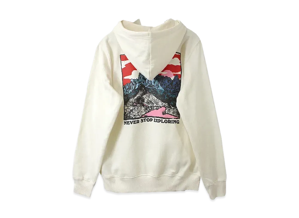 The North Face M Graphic Injection Hoodie "Gardnwht/Red"