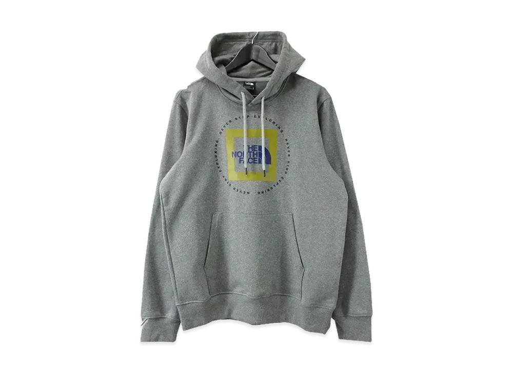 The North Face M Geo NSE Hoodie "TNF Med Gray Heather/MRLGD"