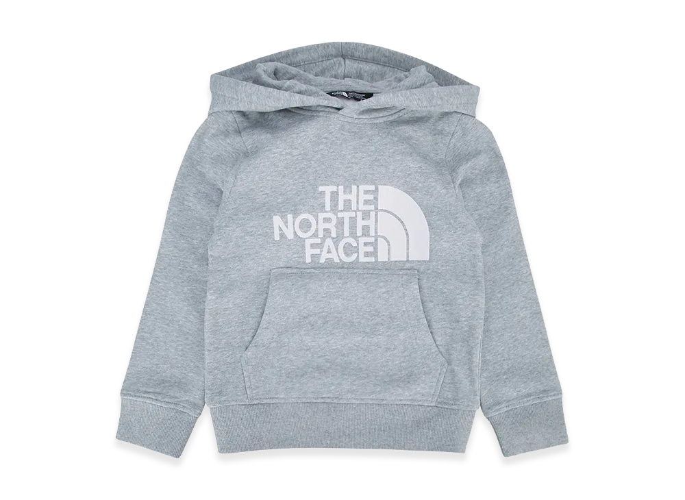 The North Face Kids Teen Drew Peak Pullover Hoodie "Gray"