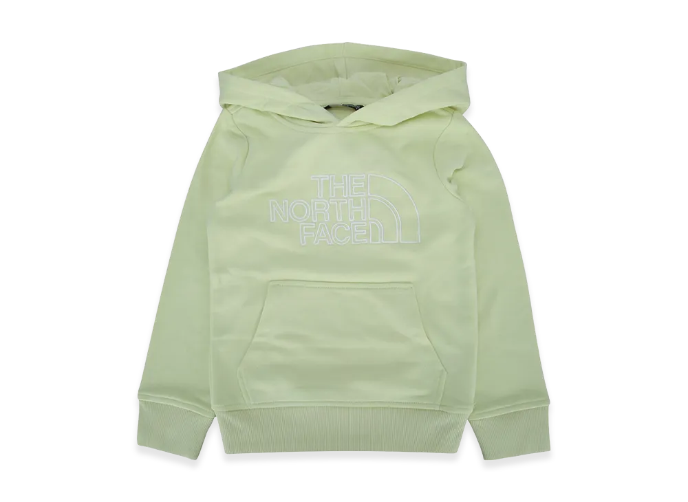The North Face Kids Teen Drew Peak Light Reg Hoodie "Green"