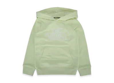 The North Face Kids Teen Drew Peak Light Reg Hoodie "Green"
