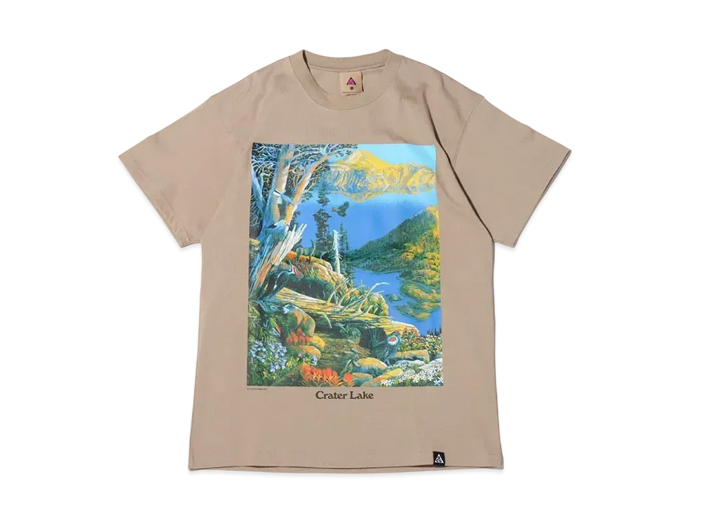 Nike AS M NRG ACG SS CRTR Lake Tee "Khaki"