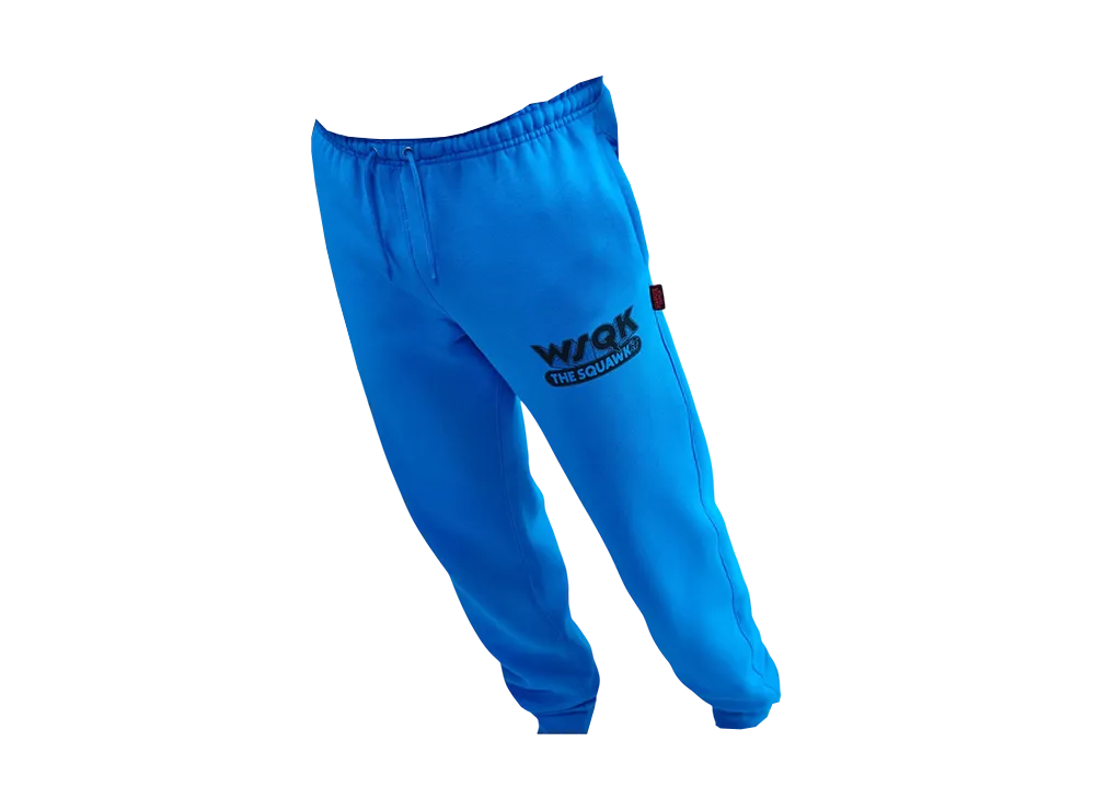 Nike x Stranger Things Sweat Pants "Blue"