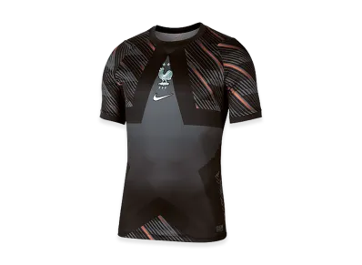 Nike Soccer 2026 France GK Jersey "Black"