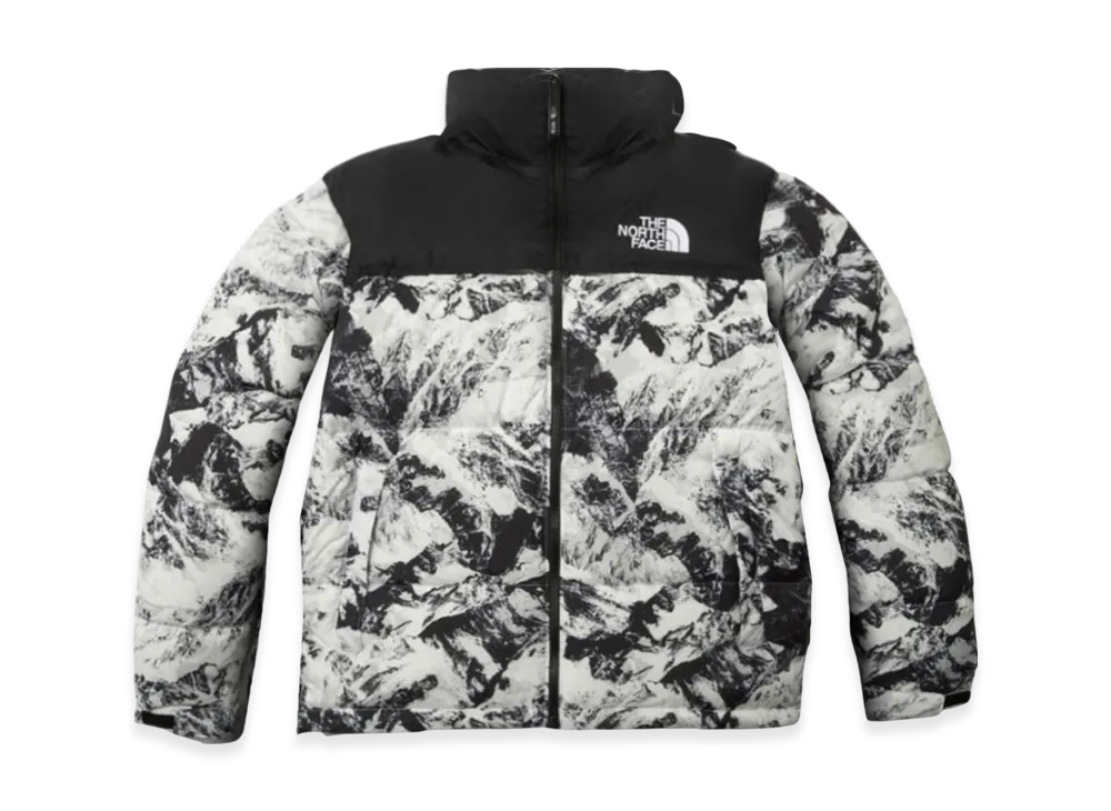The North Face 1996 Novelty Nuptse Jacket "Nutral Gray"