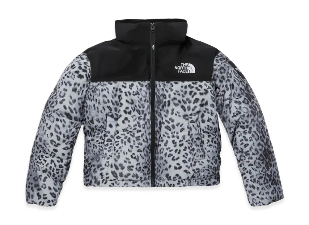 The North Face White Label Novelty Nuptse Down Jacket P (W) "Silver"