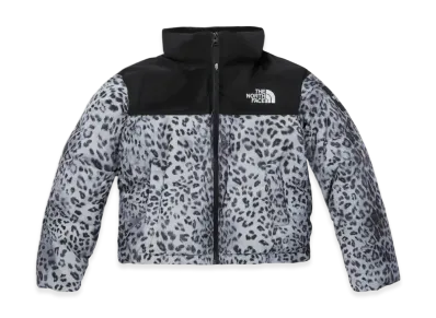 The North Face White Label Novelty Nuptse Down Jacket P (W) "Silver"