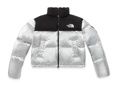 The North Face White Label Novelty Nuptse Down Jacket (W) "Silver"