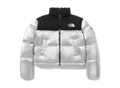 The North Face Novelty Nuptse Down Jacket "Silver"