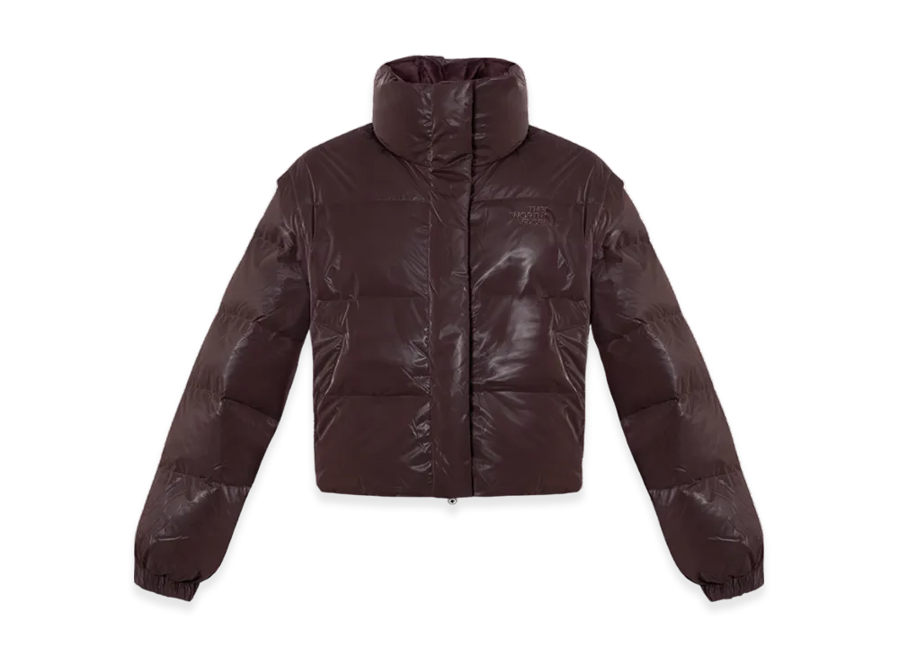 The North Face Glow DT RDS Down Jacket (W) "Brown"