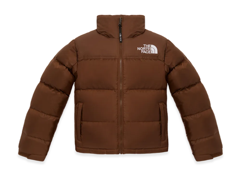 The North Face 1996 Eco Blue Nuptse Jacket (W) "Brown"