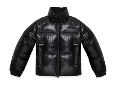 The North Face White Label Neo Puffy EX RDS Down Jacket (W) "Black"