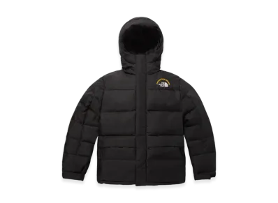 The North Face M Hmlyn 30th Anniversary Parka - 24FW "Black"