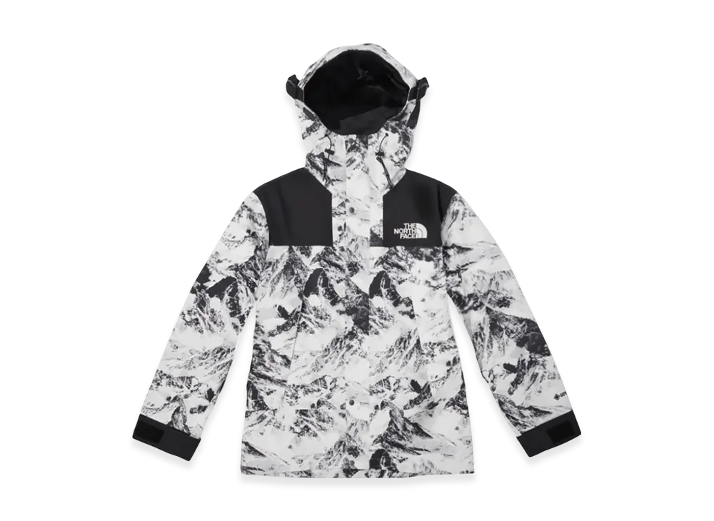 The North Face Novelty Eco GTX Mountain Jacket "Nutral Gray"