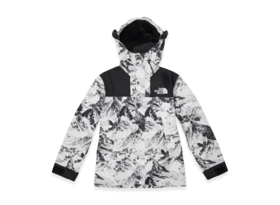 The North Face Novelty Eco GTX Mountain Jacket "Nutral Gray"