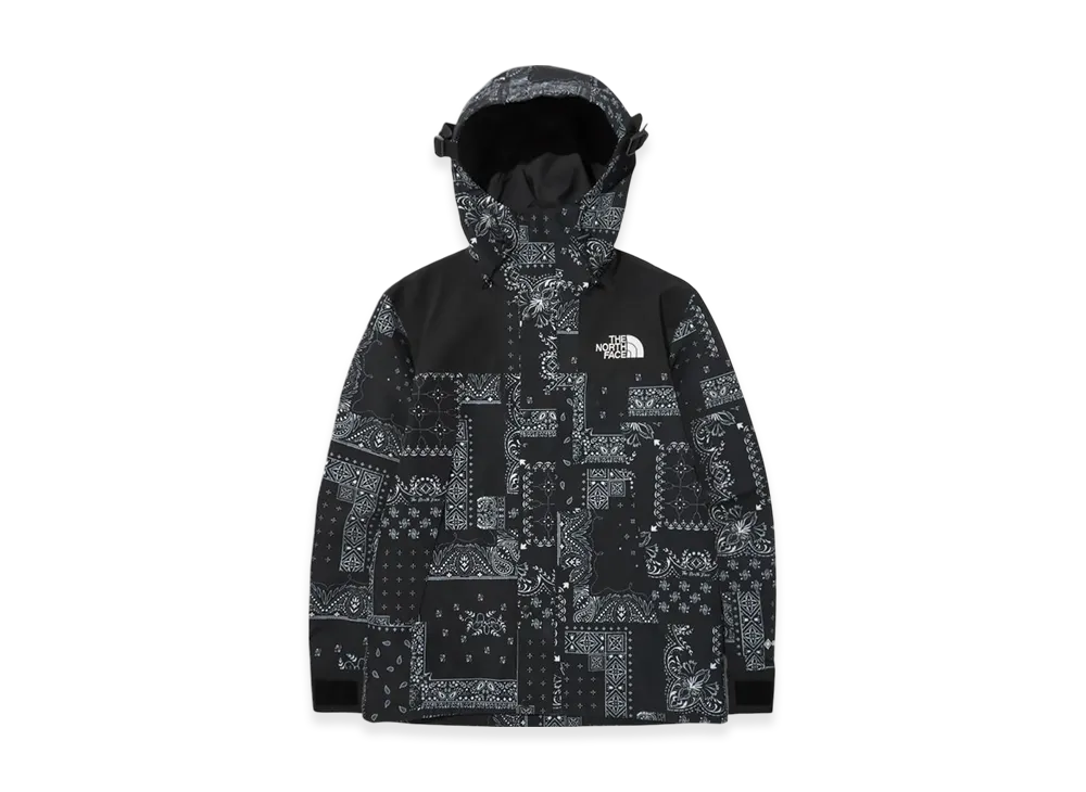 The North Face Novelty Eco GTX Mountain Jacket "Black"