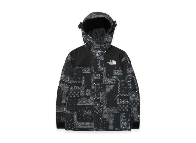 The North Face Novelty Eco GTX Mountain Jacket "Black"