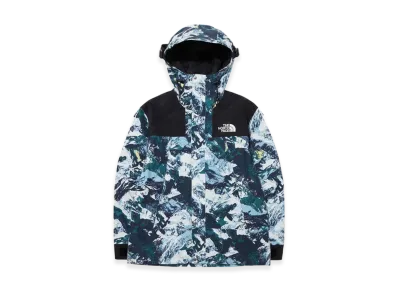 The North Face Novelty GTX Mountain Jacket "Cloud"