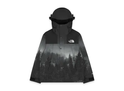 The North Face Eco Gore-Tex Mountain Vista Jacket "Dark Gray"