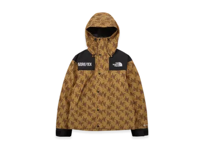 The North Face GTX Mountain Jacket "Beige/Brown"