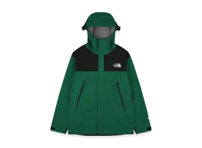 The North Face Gore-Tex Mountain 3L Jacket "Classic Green"