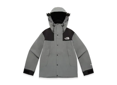 The North Face Eco Gore-Tex Mountain Jacket "Gray"