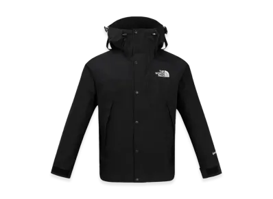 The North Face GTX Mountain Jacket - 25SS "Black"
